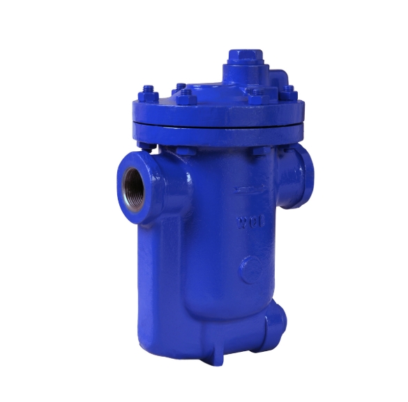 ����lewin-������ʷ��ŵ���ˮ����ôѡ�ͣ�